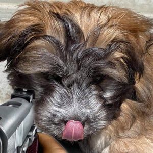 Meet your Posher, Leanne